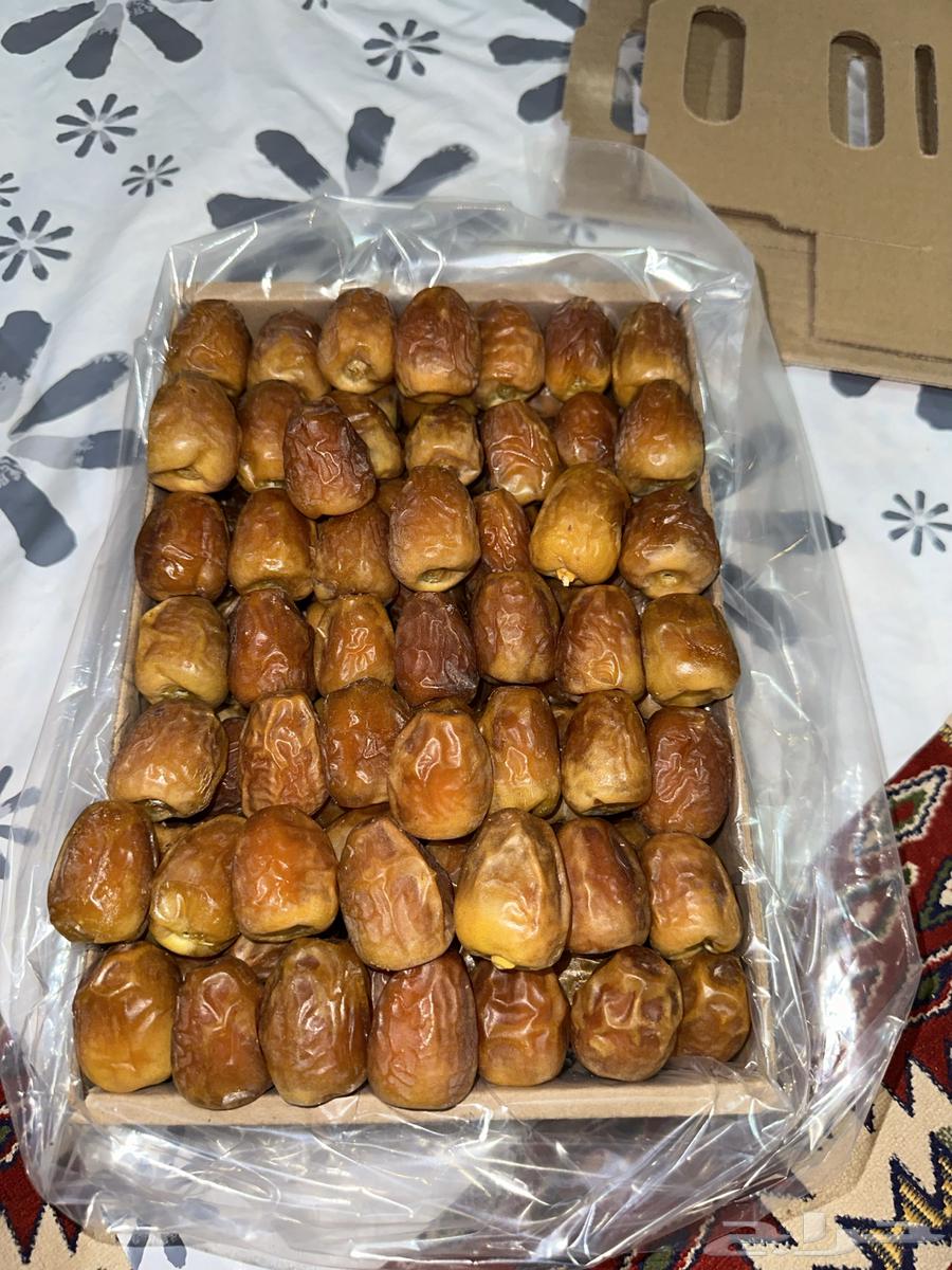 First-grade Sukkari Mutfal with other varieties of dates available64495556336129112