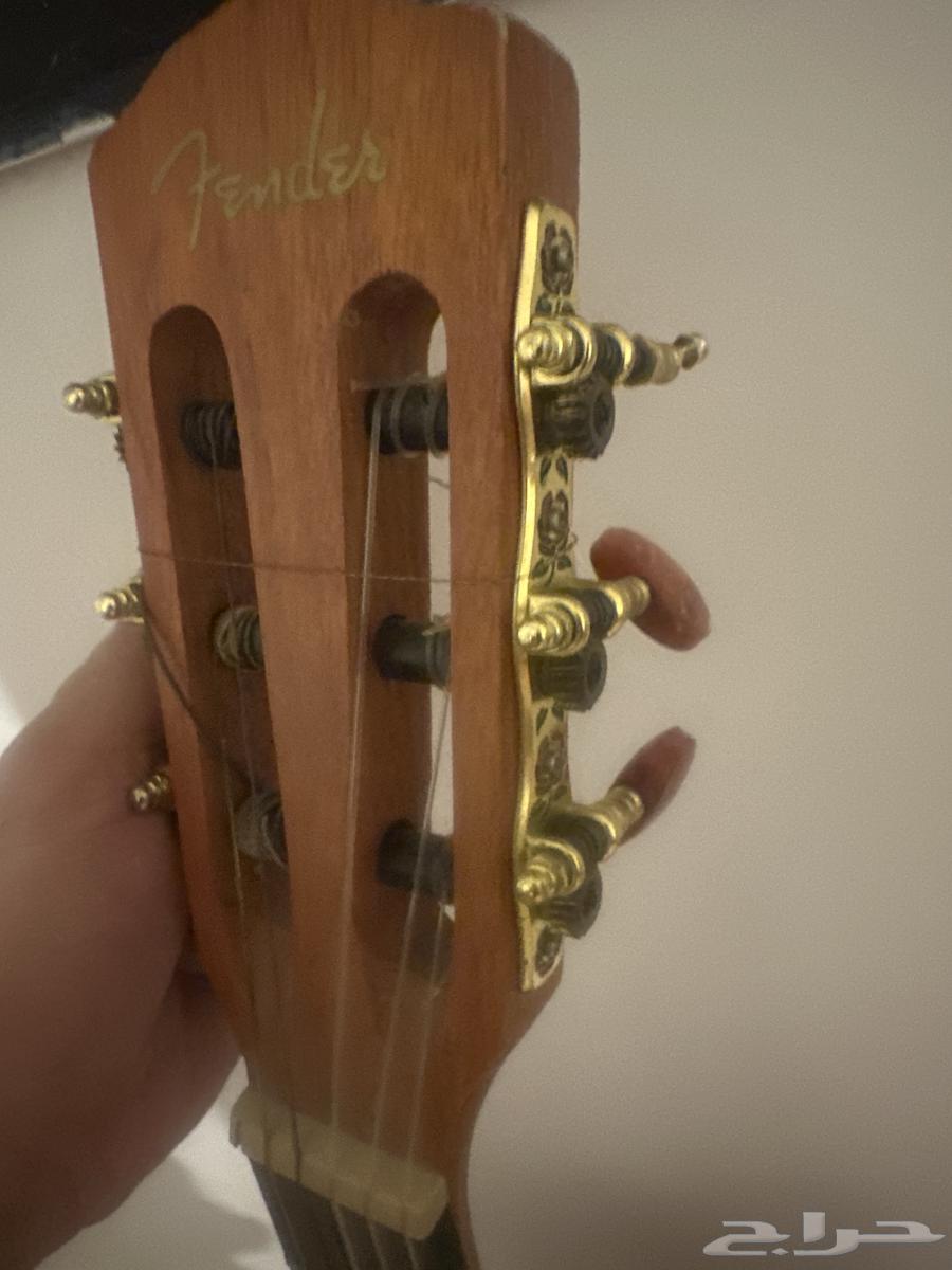 جيتار فيندر للبيع64559548084994111