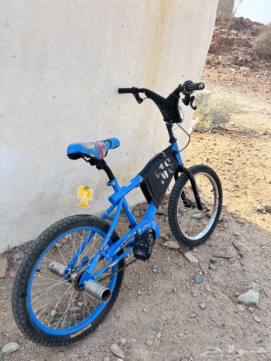 Cobra Cycle64558377965827114