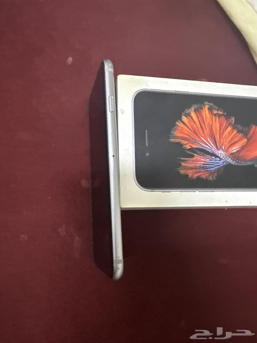 ايفون 664559645831425112