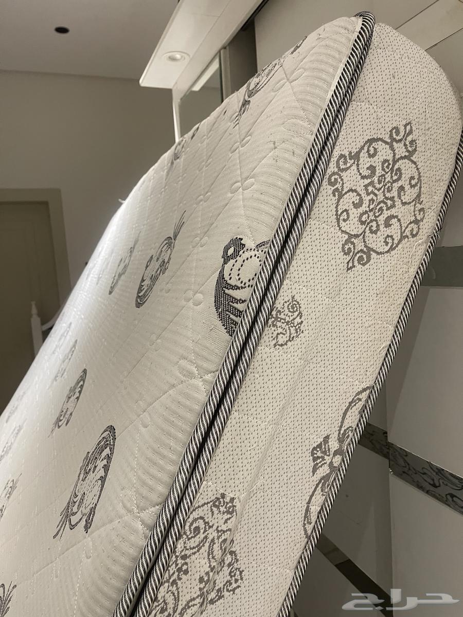 Sponge for sale, intact64560248681601110