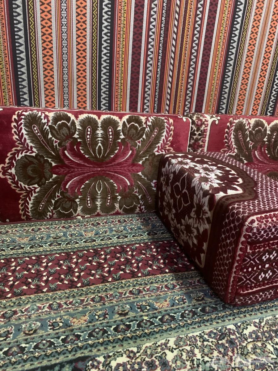 تراث بطاطين. ومساند64554816190466113