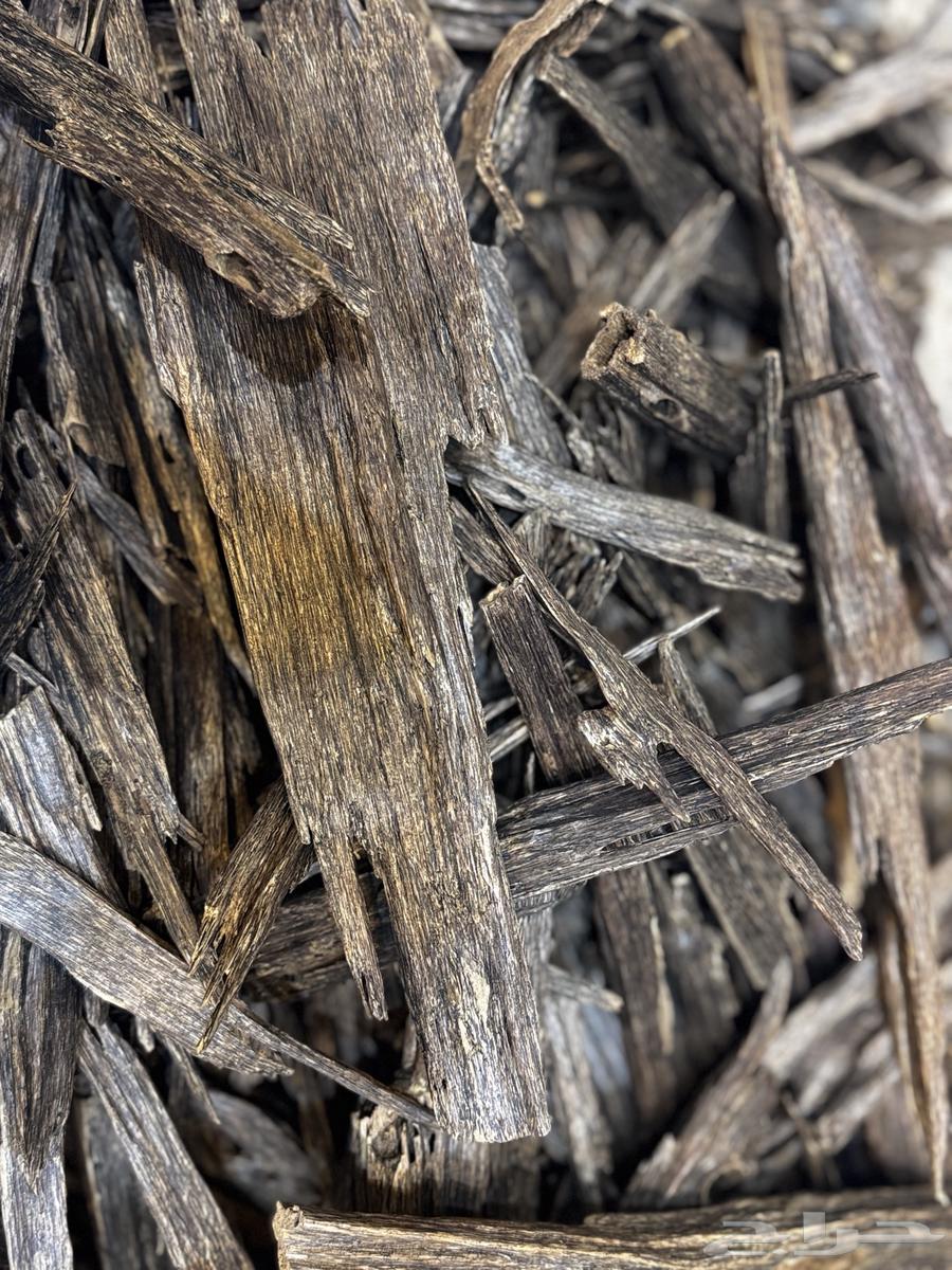 عود هندي دبل سوبر طبيعي فاخر64561868566529110