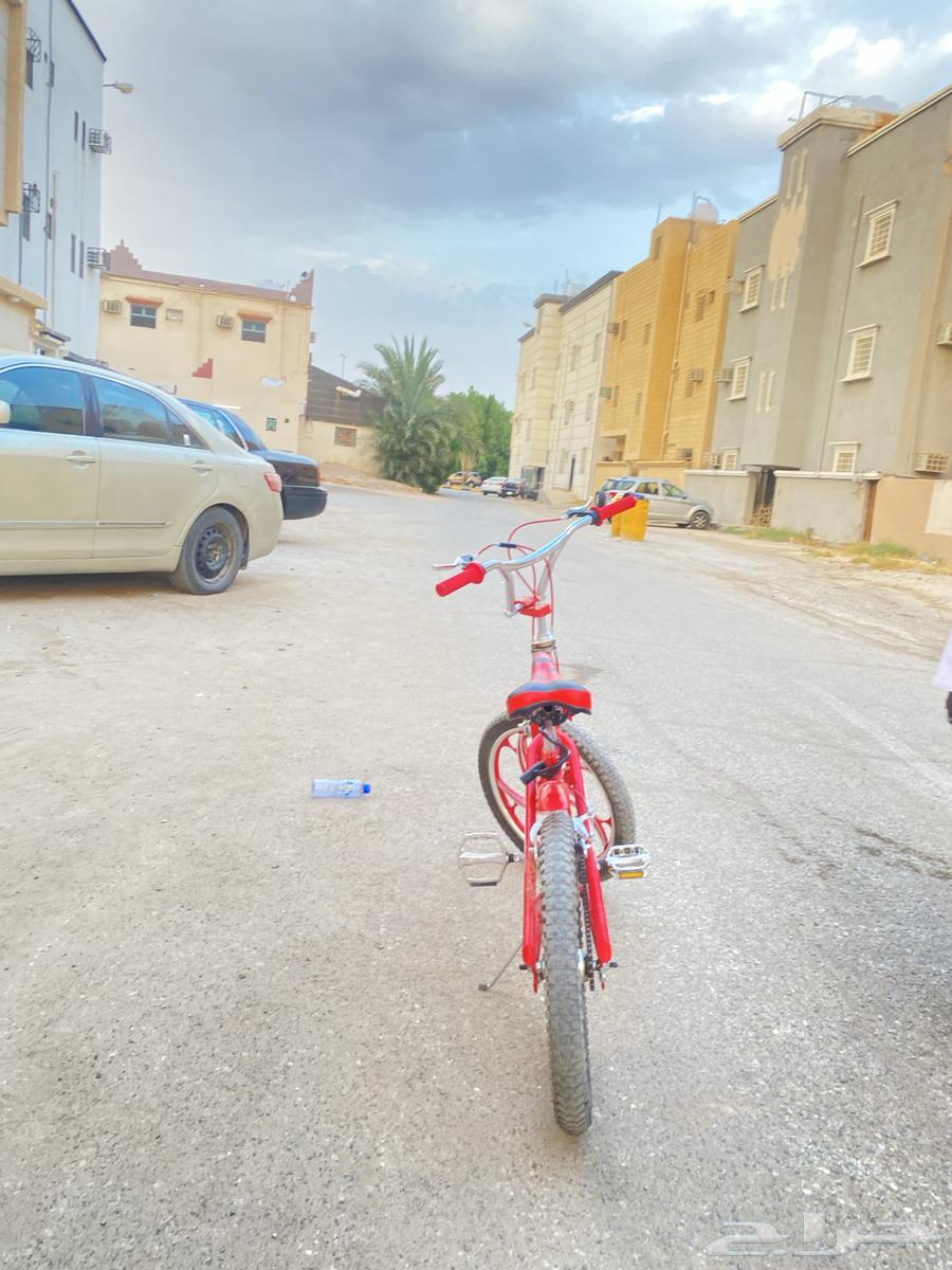 سيكل كوبرا مقاس 20 شركه رالي64559281116931110