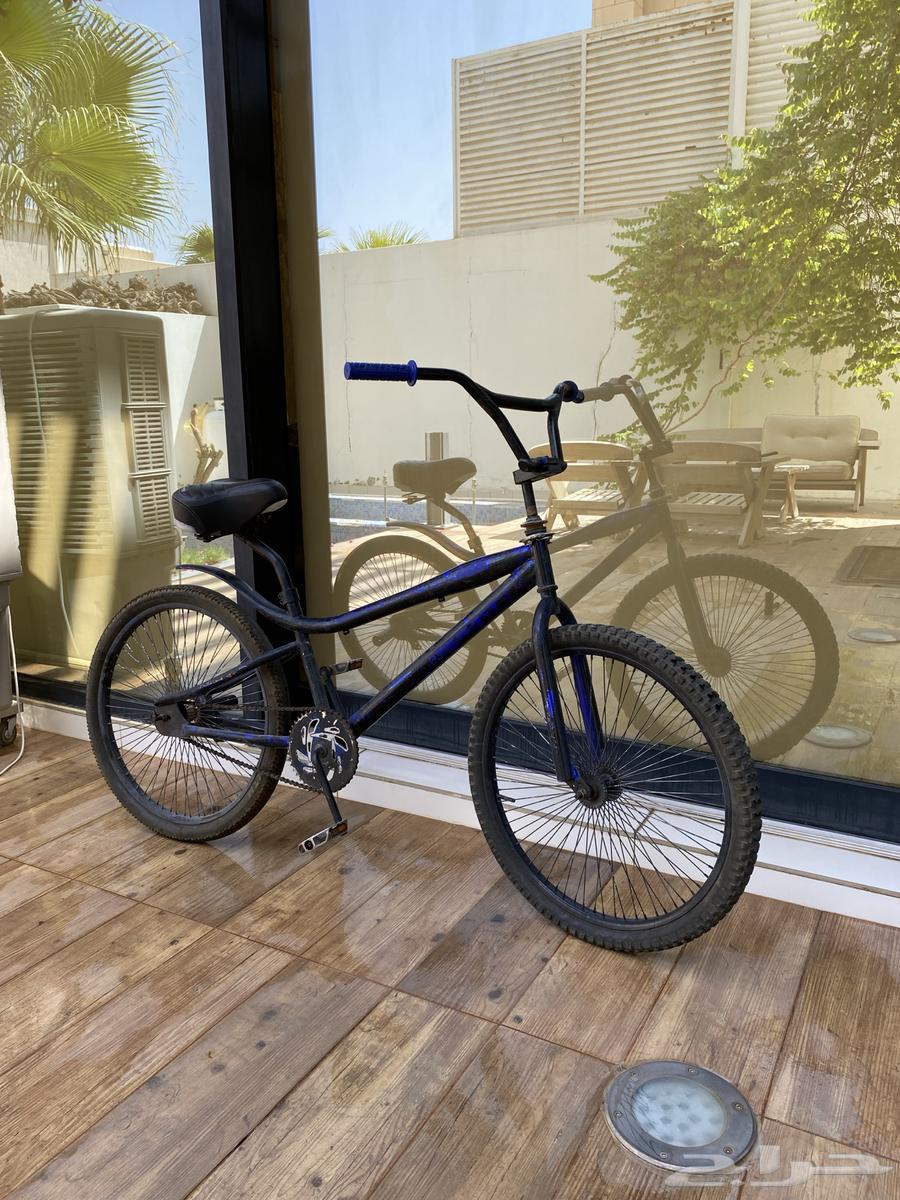 Cobra bicycle size 2864559911460097111