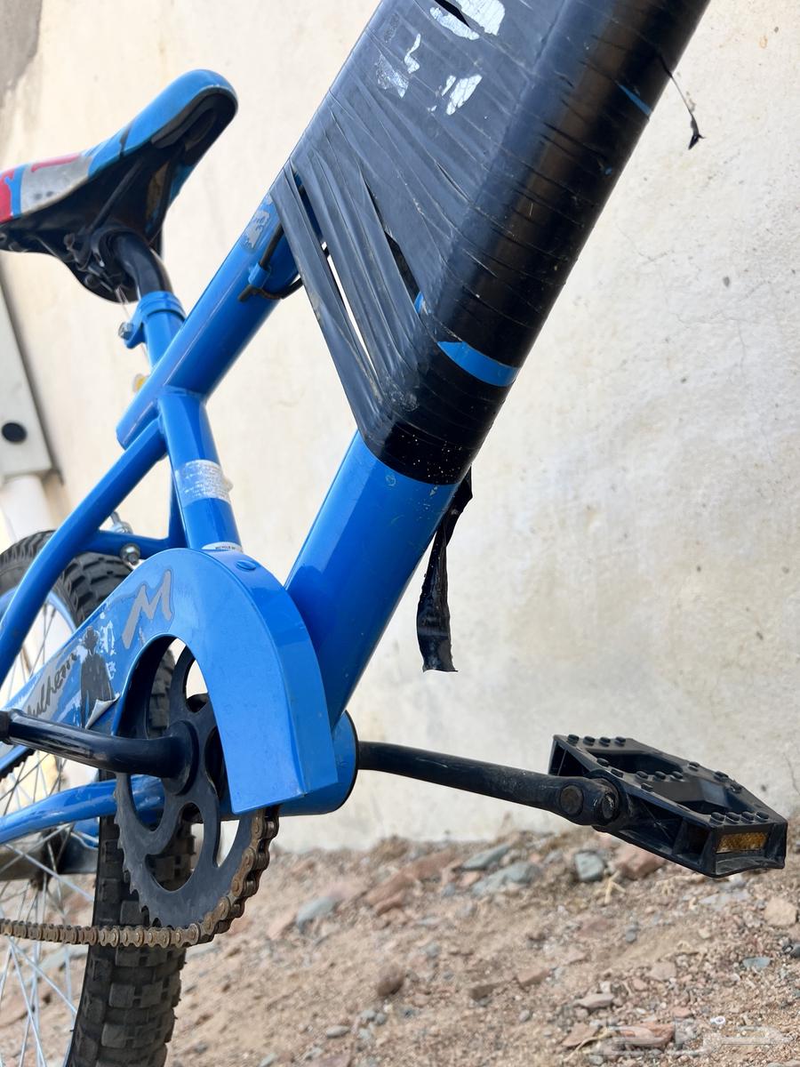 Cobra Cycle64558377965827111