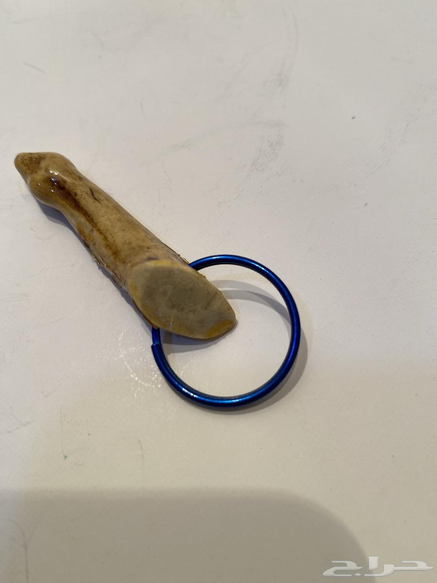 ميداليه قرن غزال امريكي اصليه تراث قديم للبيع64557015879555113