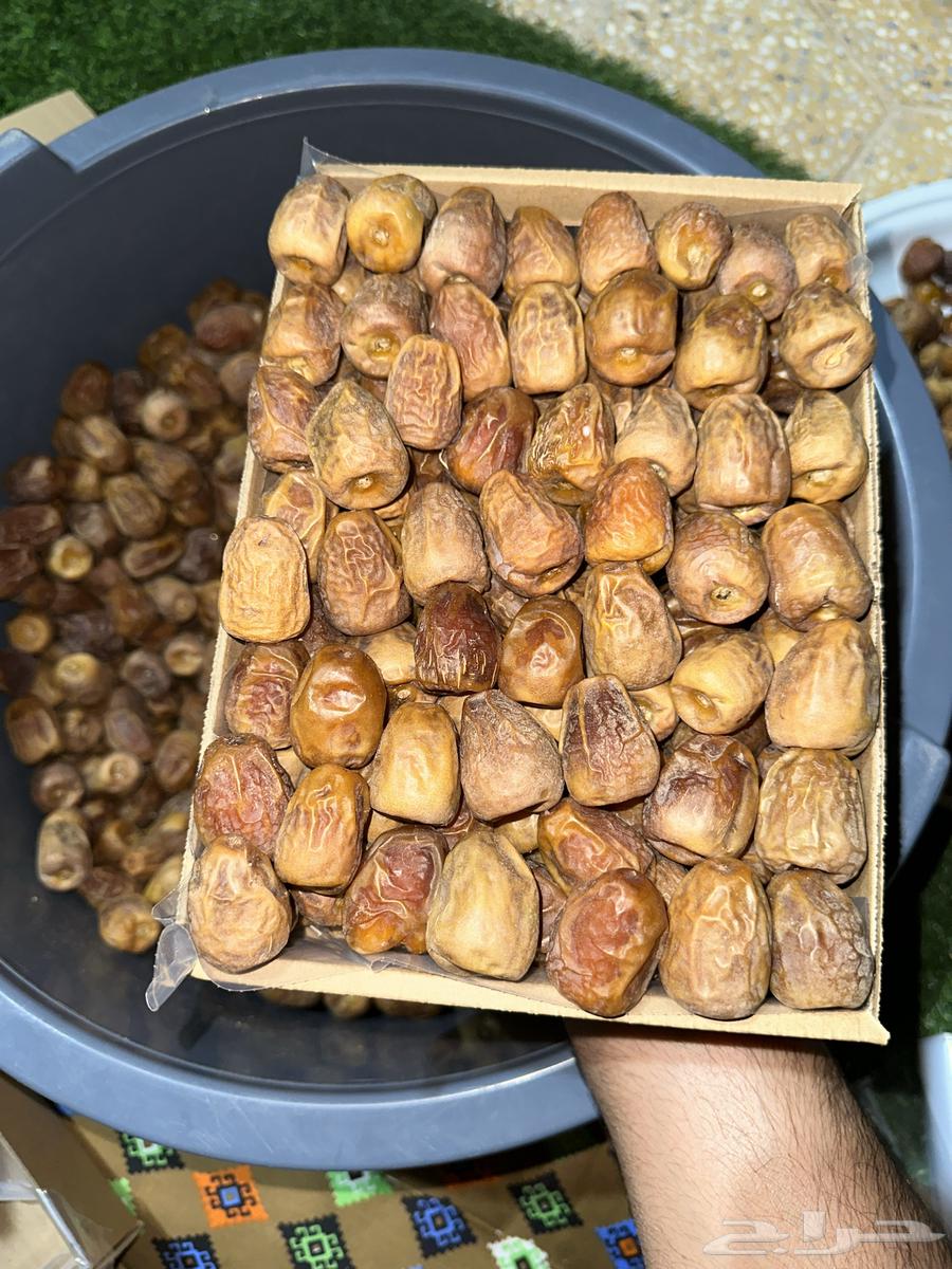 First-grade Sukkari Mutfal with other varieties of dates available64495556336129113