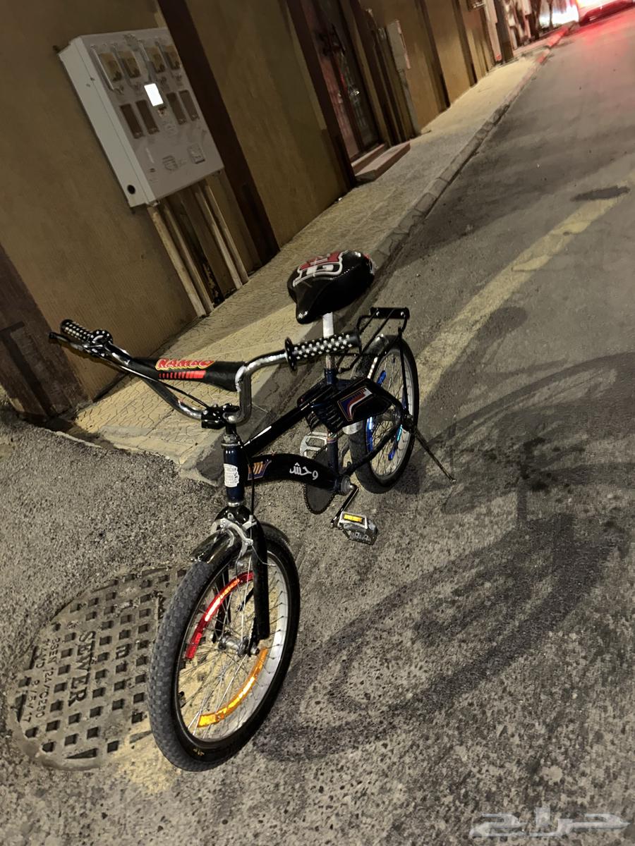 سيكل رامبو لون كحلي عليه تعديلات الجنزير بس مصدي64560600289923111