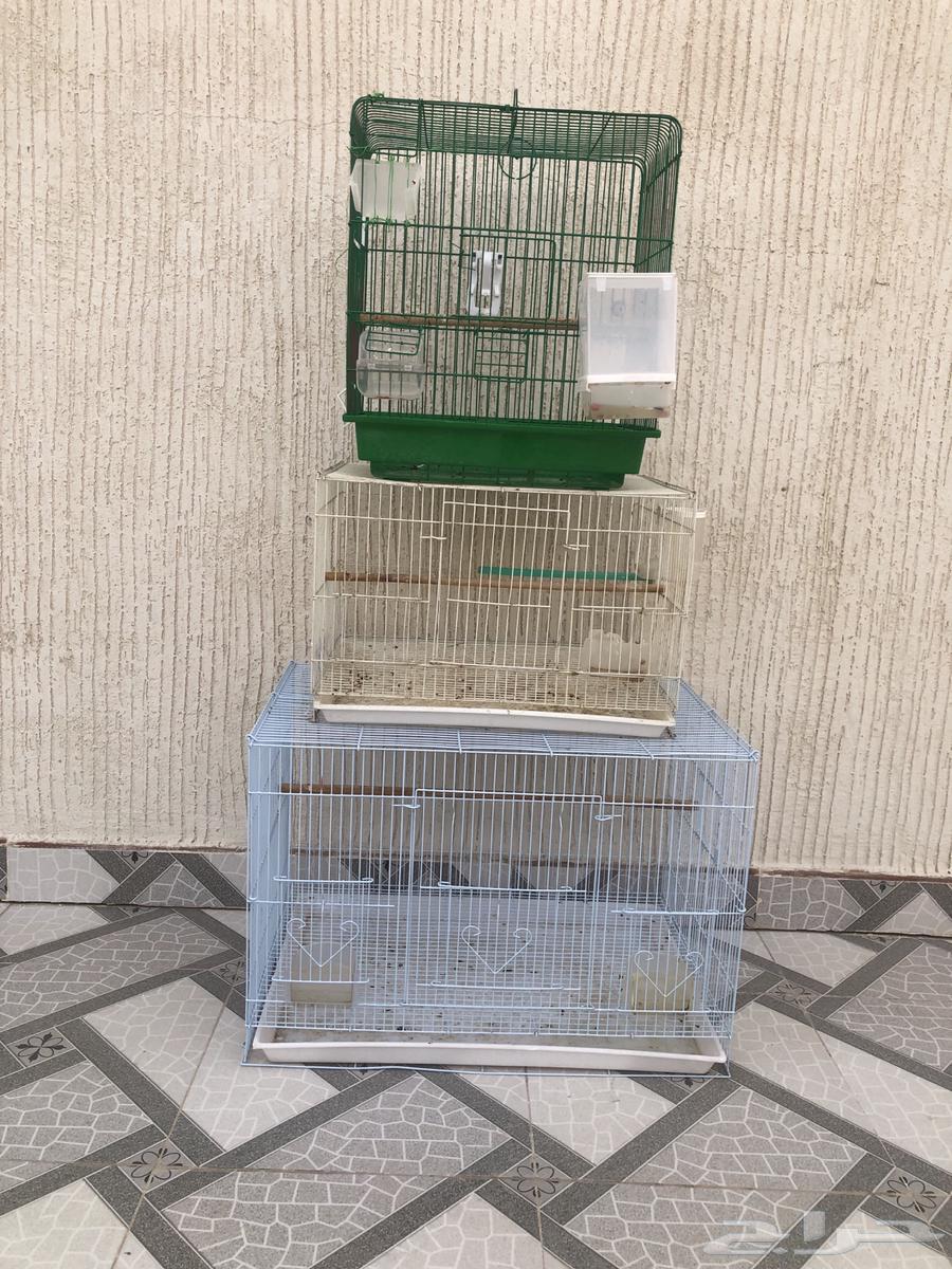 3 Cages64556945195138110