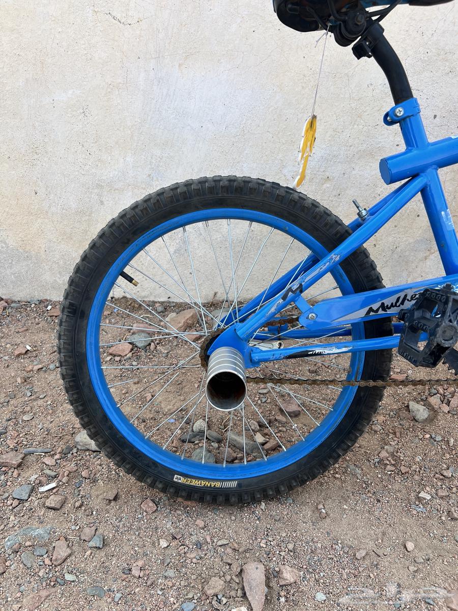 Cobra Cycle64558377965827113