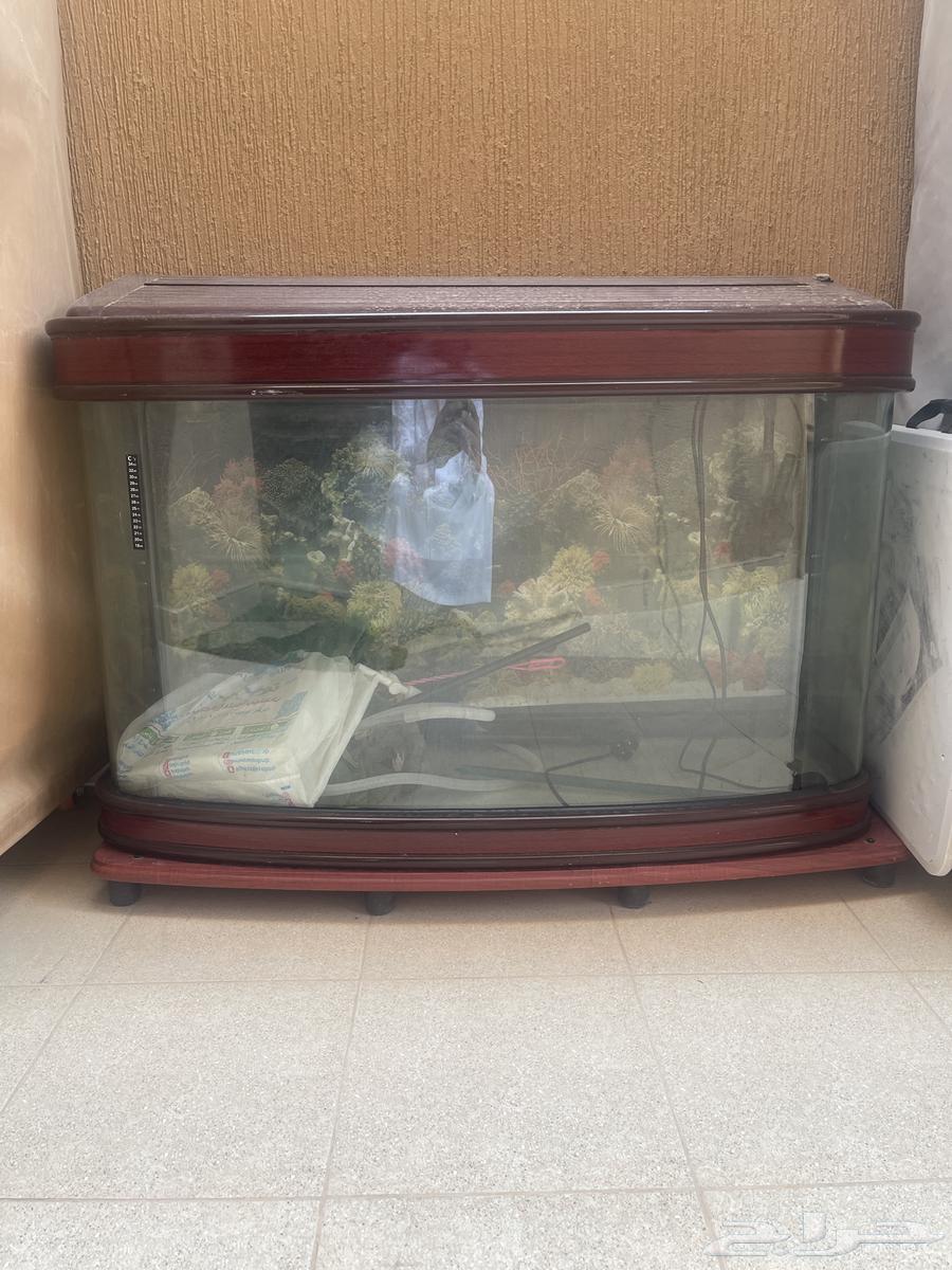 حوض اسماك للبيع64558155845763110