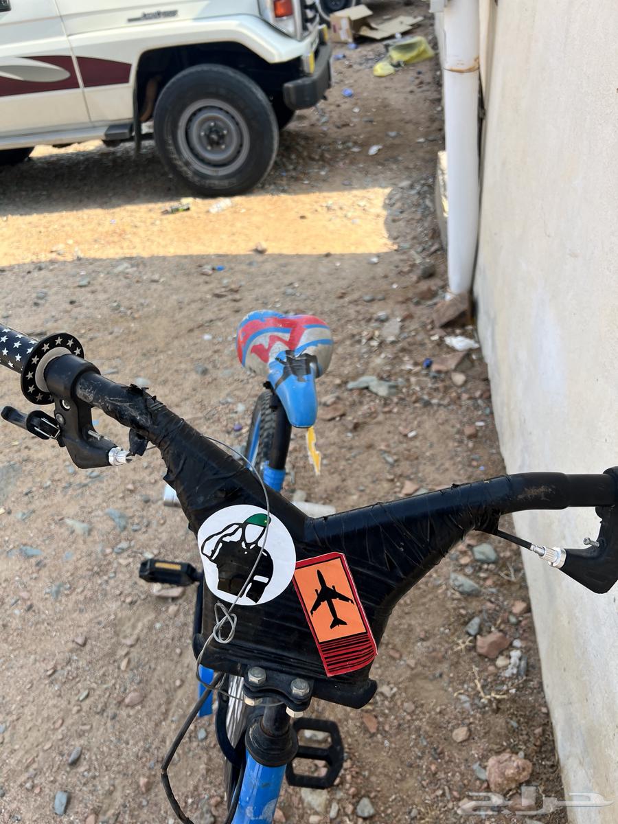 Cobra Cycle64558377965827110