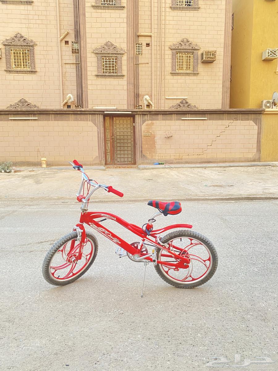 سيكل كوبرا مقاس 20 شركه رالي64559281116931113