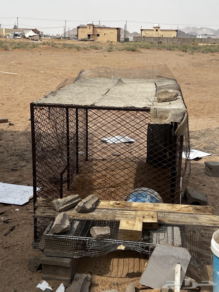 Two-meter by one-meter chicken or pigeon coop64557234328834110