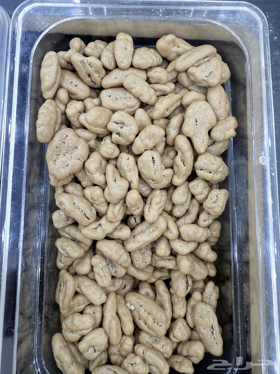 بيكان بلجيكي درجه عاليه جدا64558321985153110