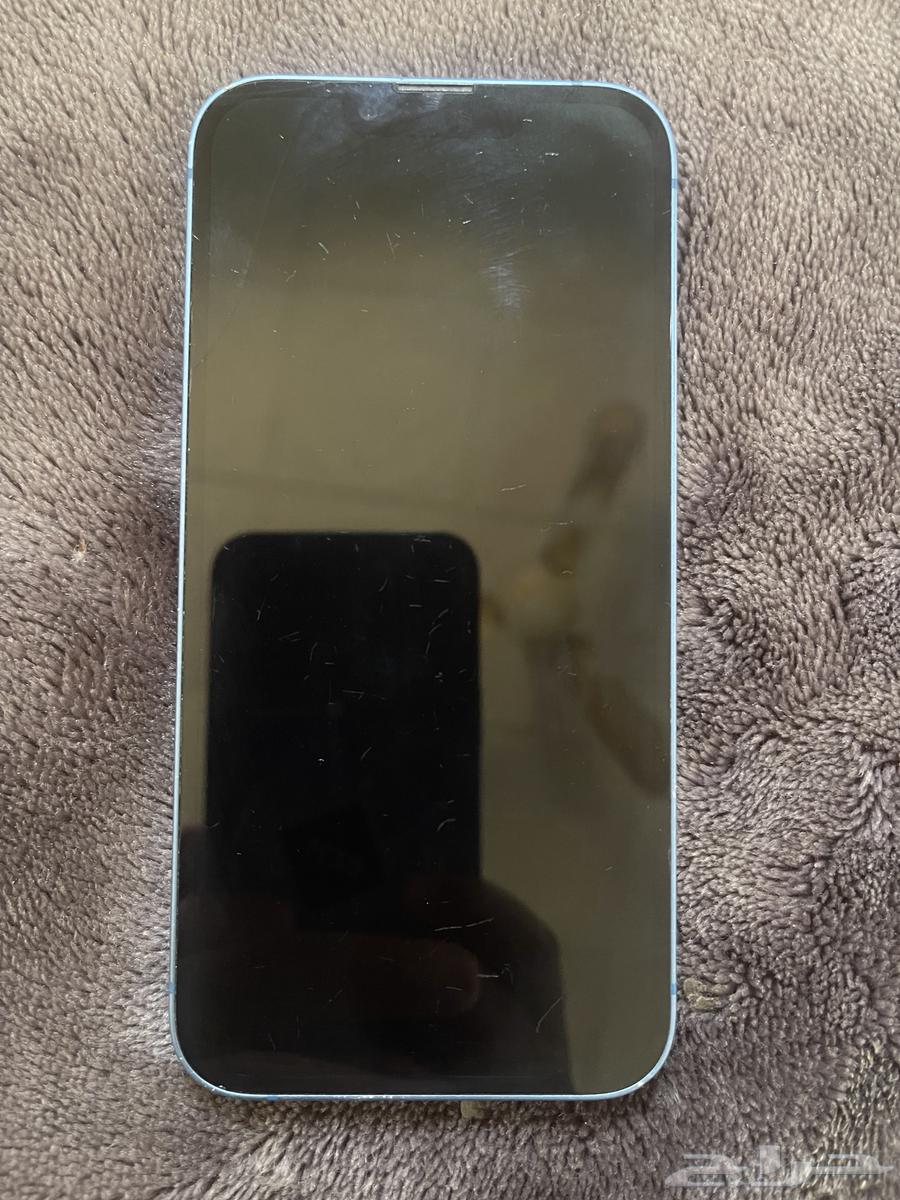 iPhone 13 Regular64558335932547110