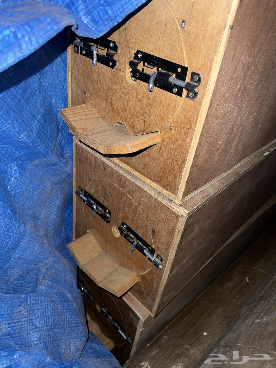 For sale empty beehives without bees64554006335106110