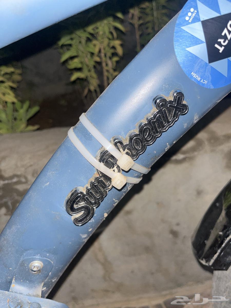 رامبو اندنوسي تجميع صيني للبيع زي ما انت شايف السيكل نضيف64560094541059113