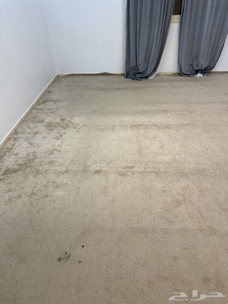 Carpet and two curtains for sale64560572486658110