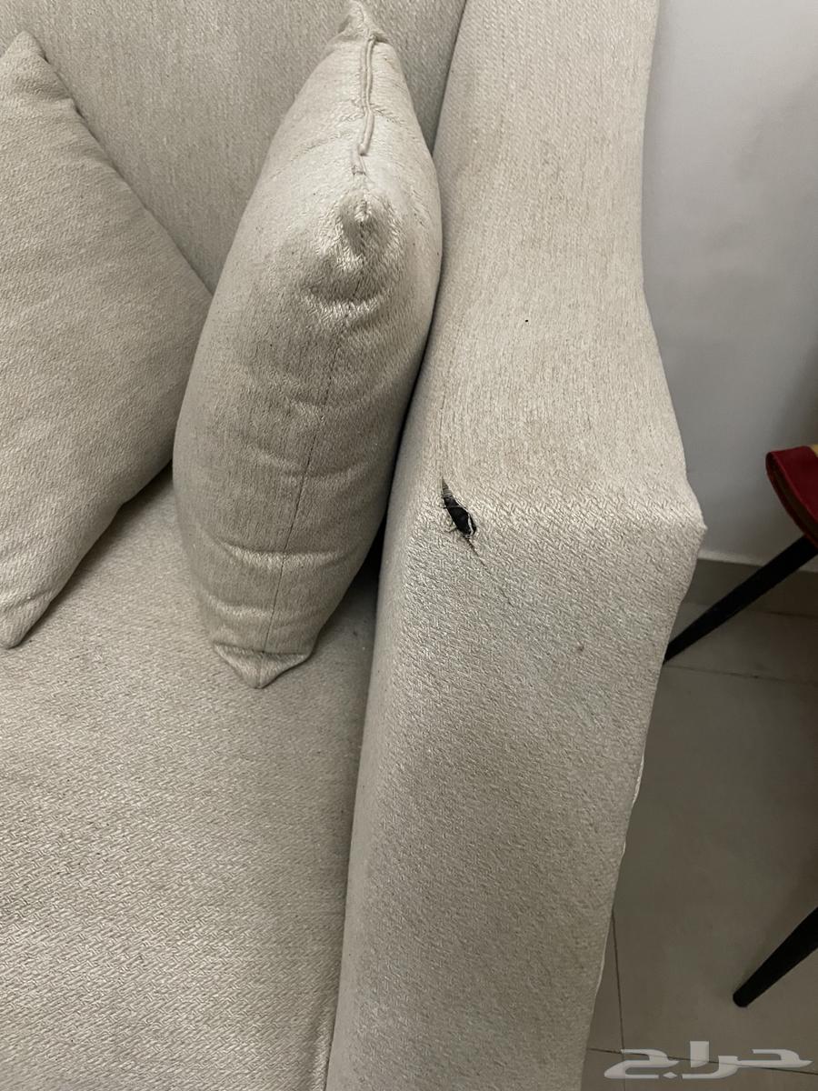 Sofa64556270555393112