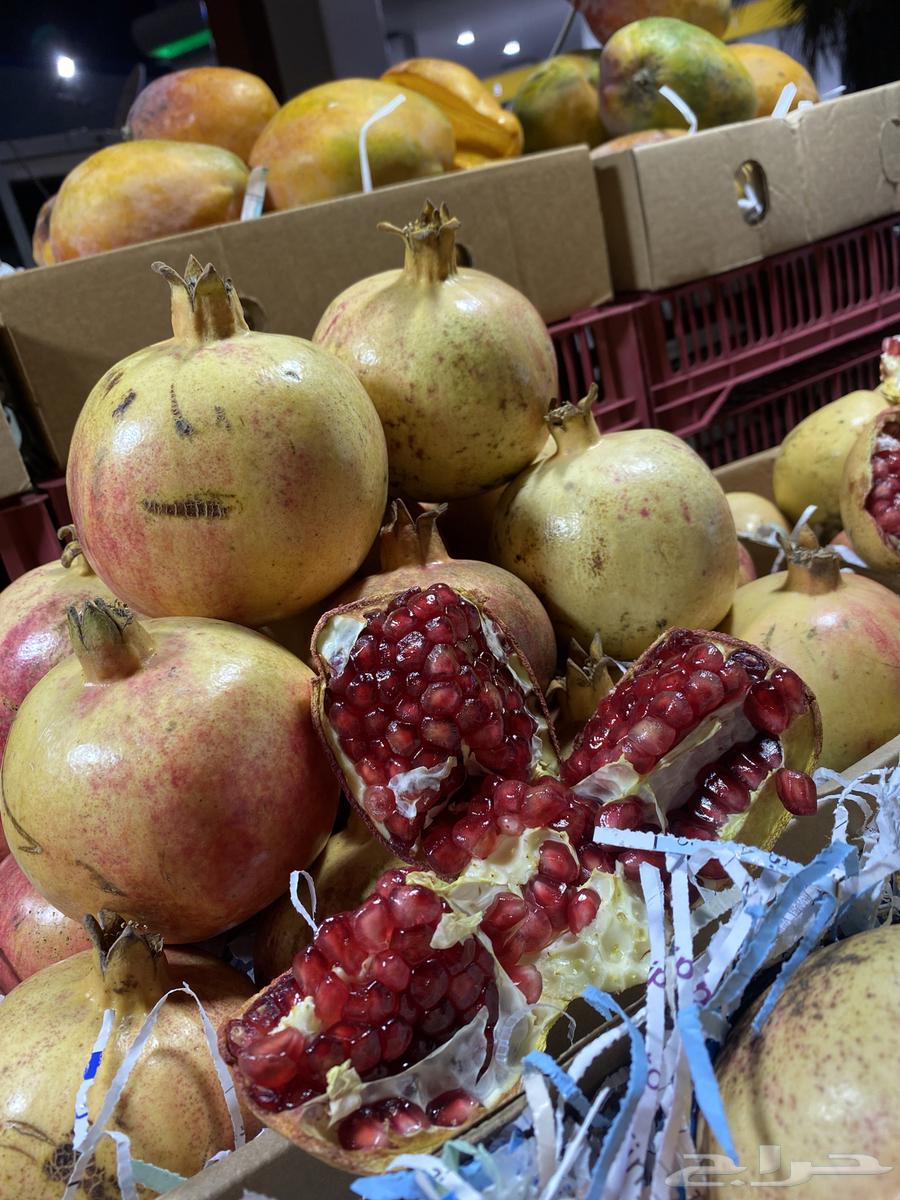 رمان طايفي ومنقاء جيزان64560544504705112