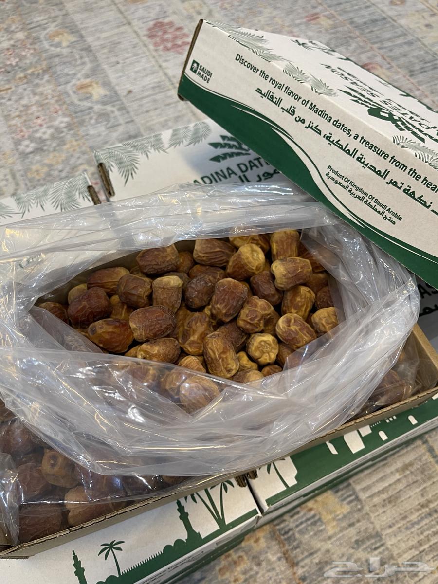 تمر المدينه المنورة64559799468034111