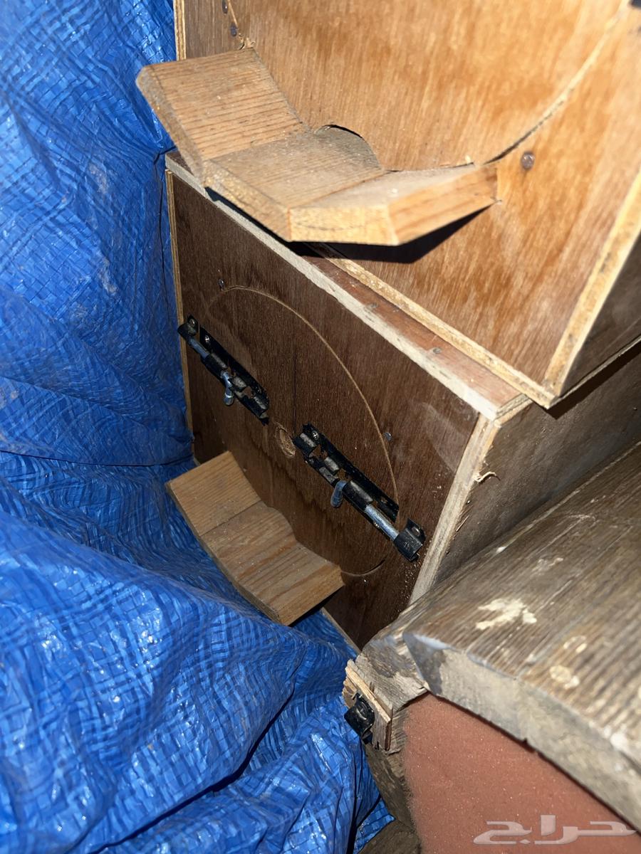 For sale empty beehives without bees64554006335106114