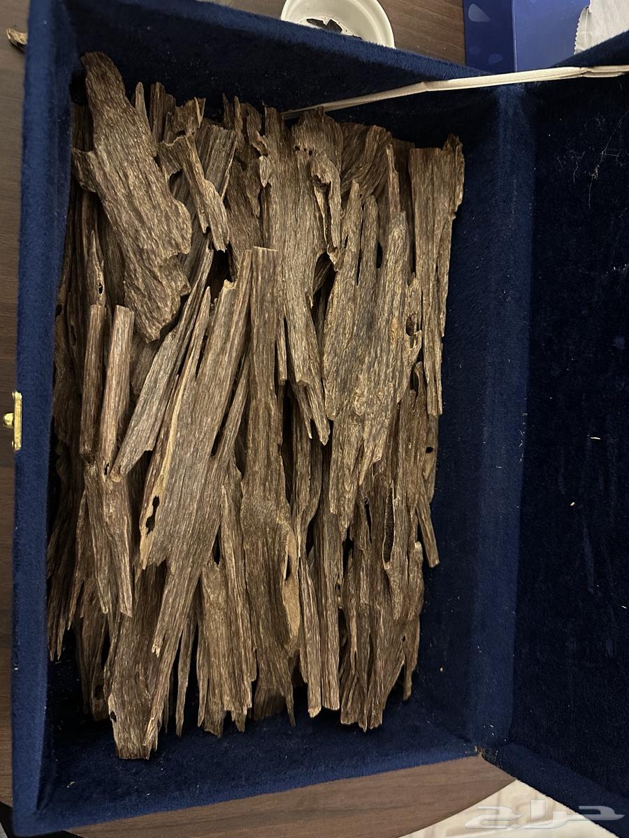 عود هندي طبيعي سوبر64560304904834110