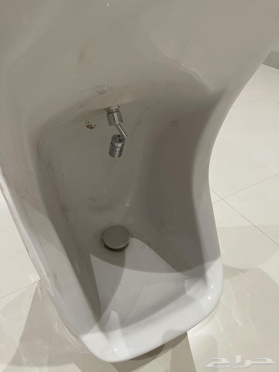 Sink and Light64557586835329112