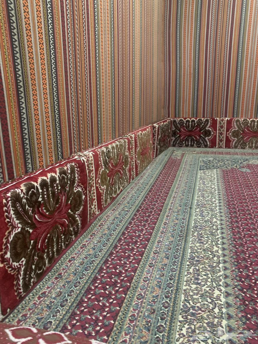 تراث بطاطين. ومساند64554816190466114