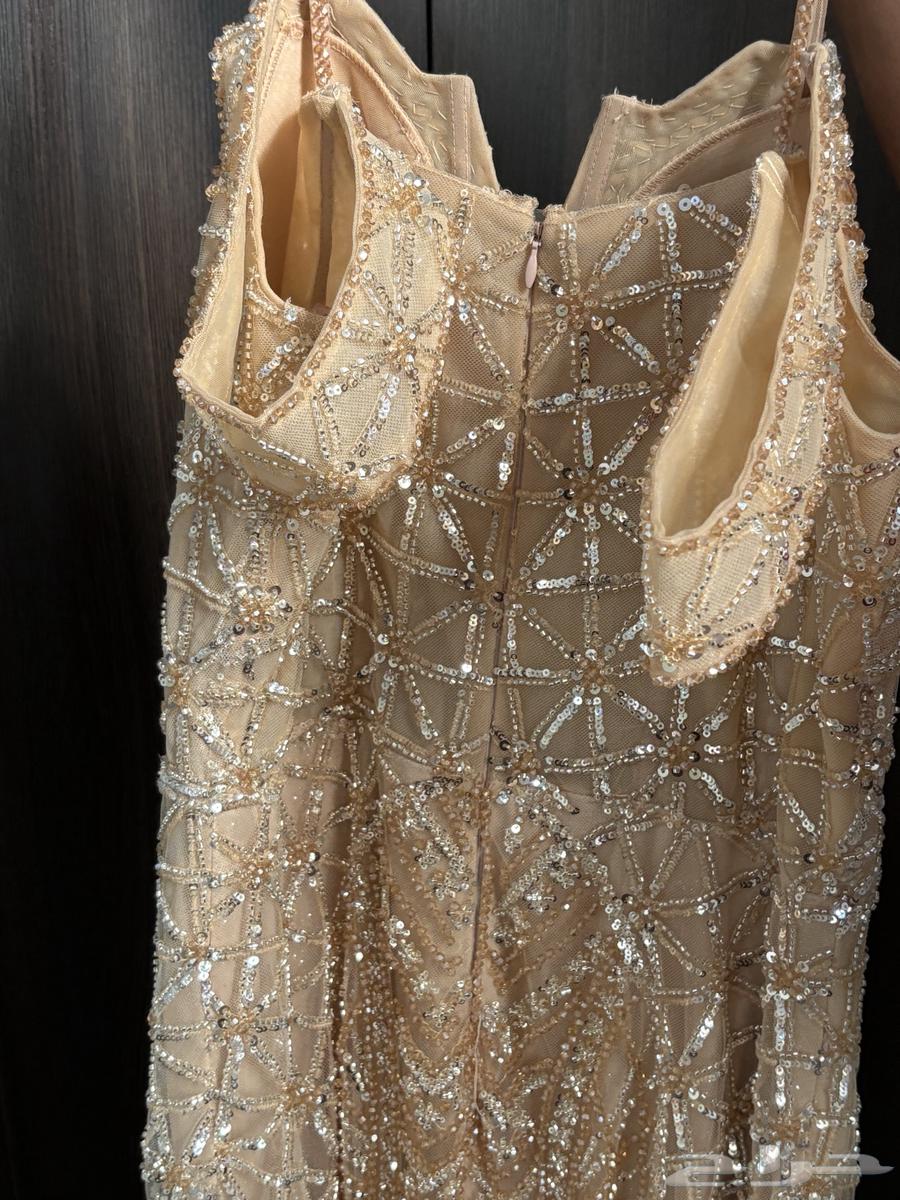 فستان سهرة فخم للبيع64558905660419112