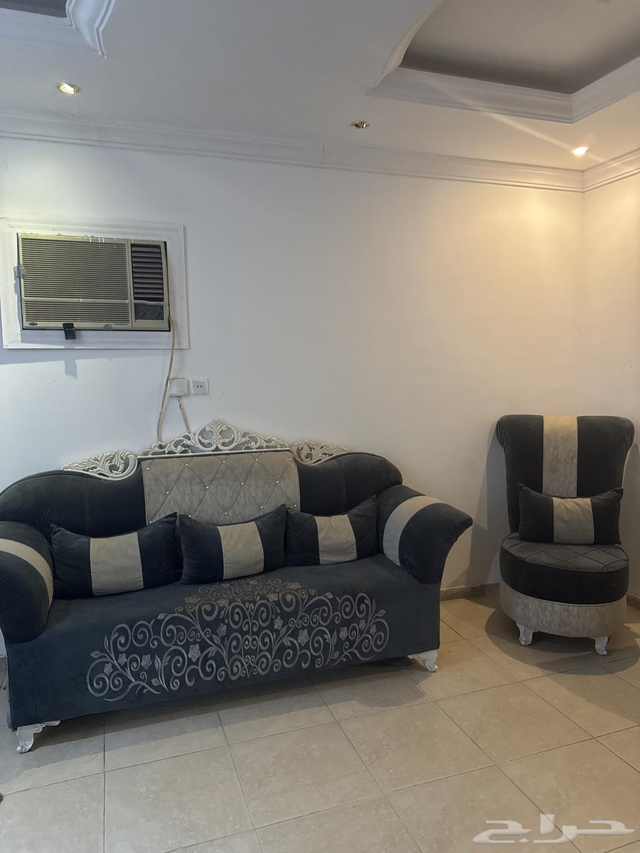 كنب نظيف للبيع64554272942337111