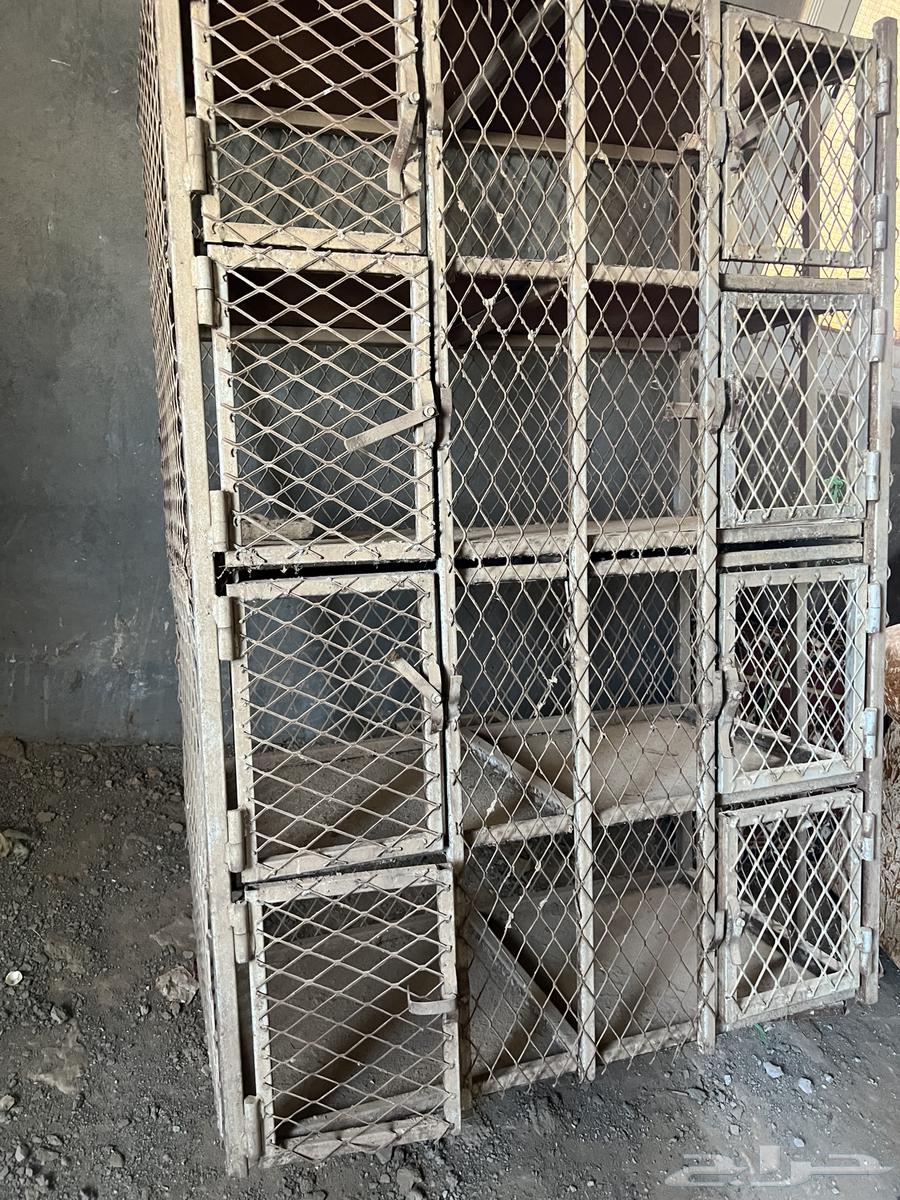 محكر حمام حديد قوي اربع رفوف تفصيل خاص64559098962561111