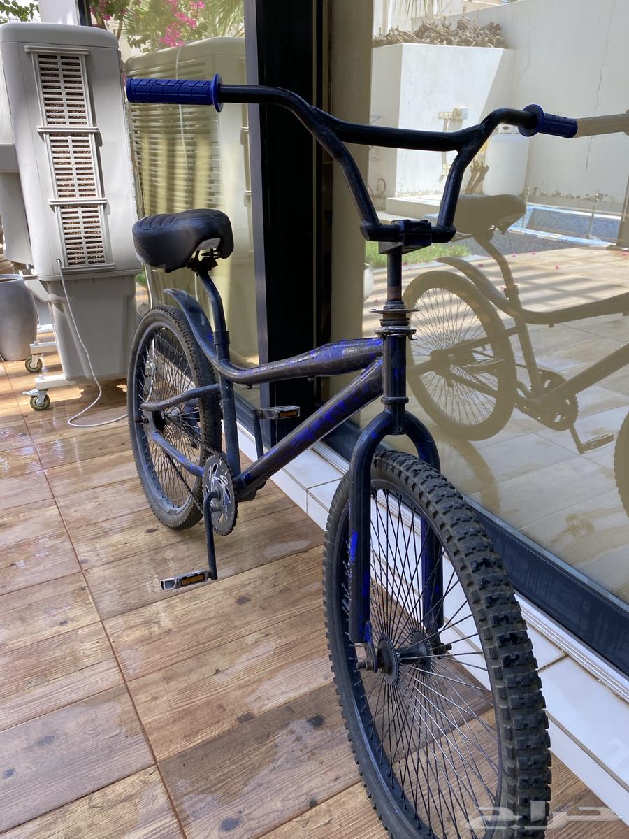 Cobra bicycle size 2864559911460097110