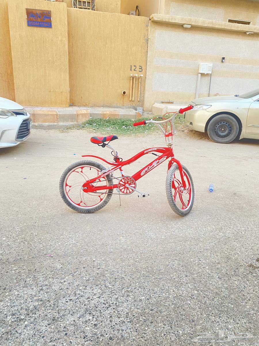 سيكل كوبرا مقاس 20 شركه رالي64559281116931111