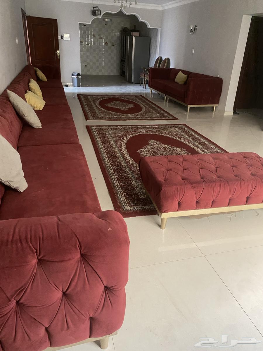 10-meter connected sofa with two cushions and carpet, like new, in excellent condition, Al-Hofuf Al-Khalidiyah64555786581761112