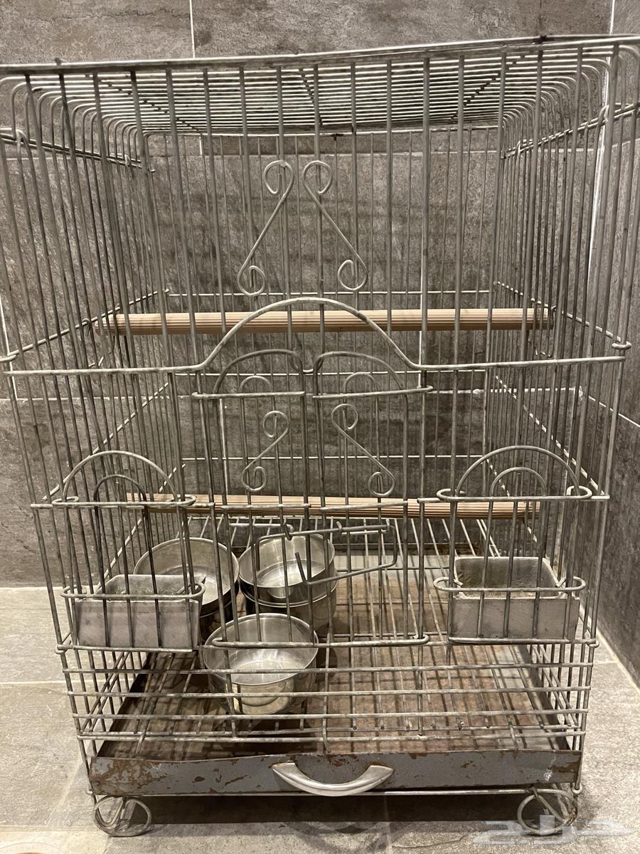 قفص طيور64557154663171112