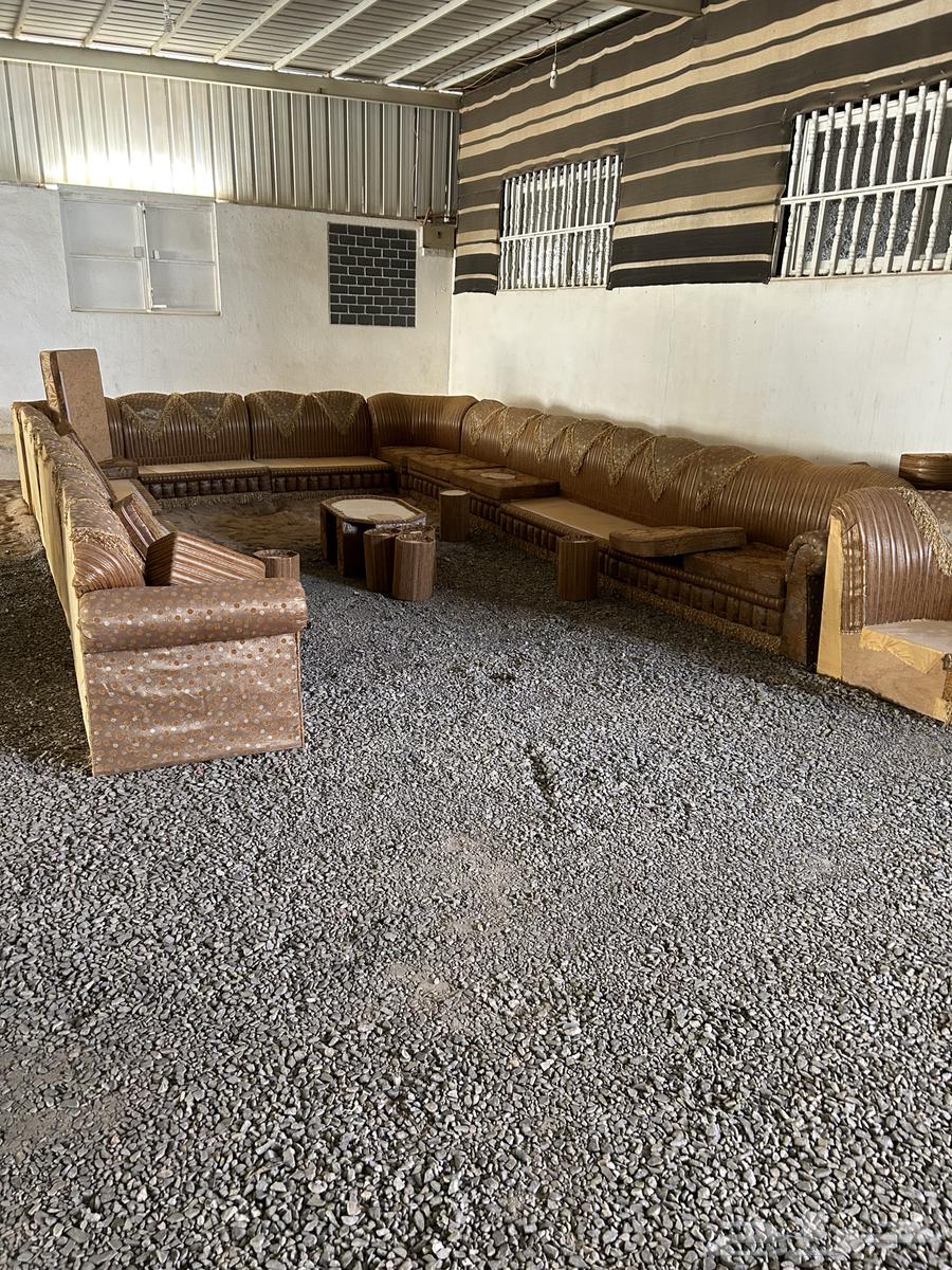 كنب مستخدم جديد64558321960961110