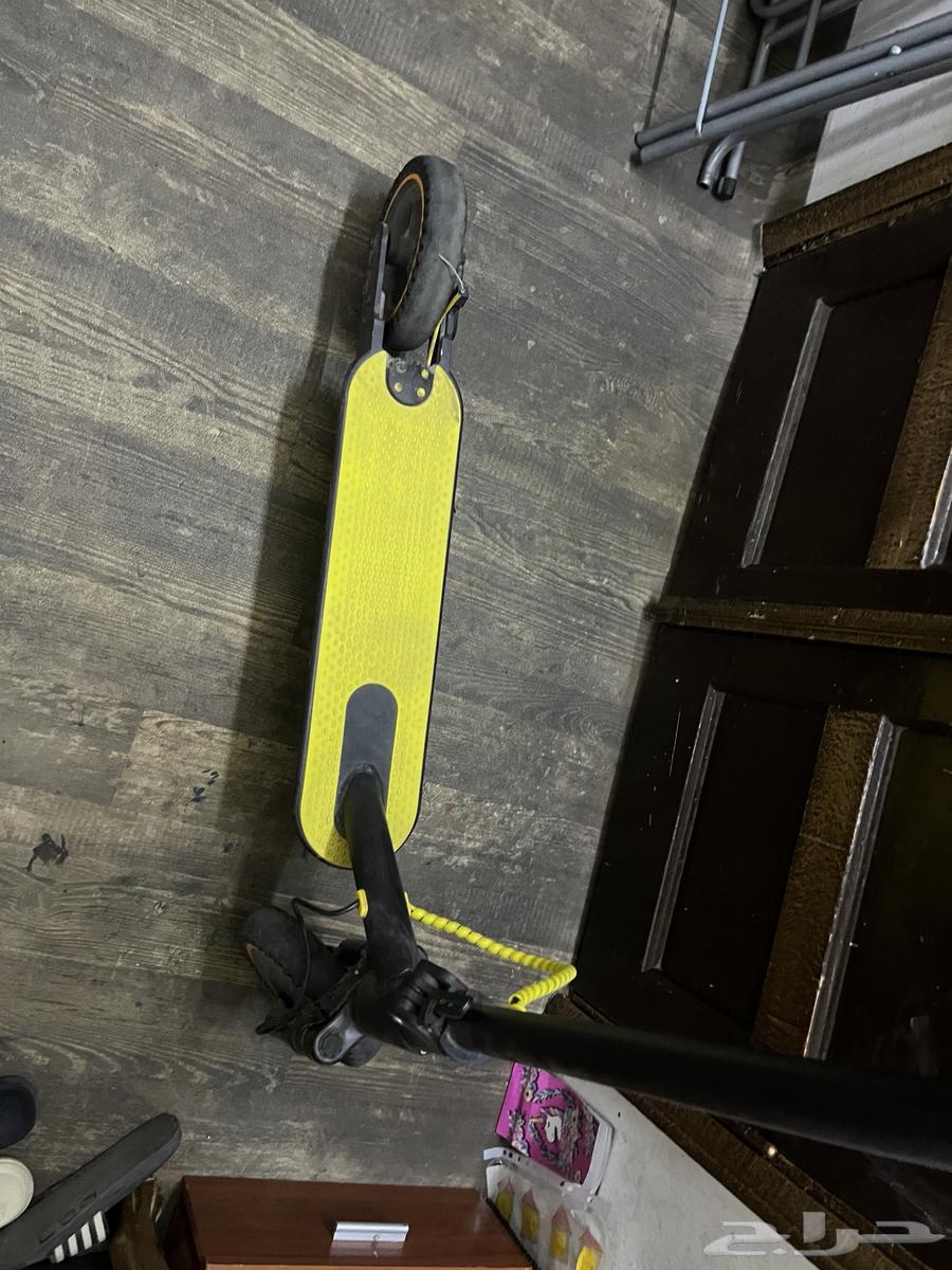 Working standing scooter64555054243201110