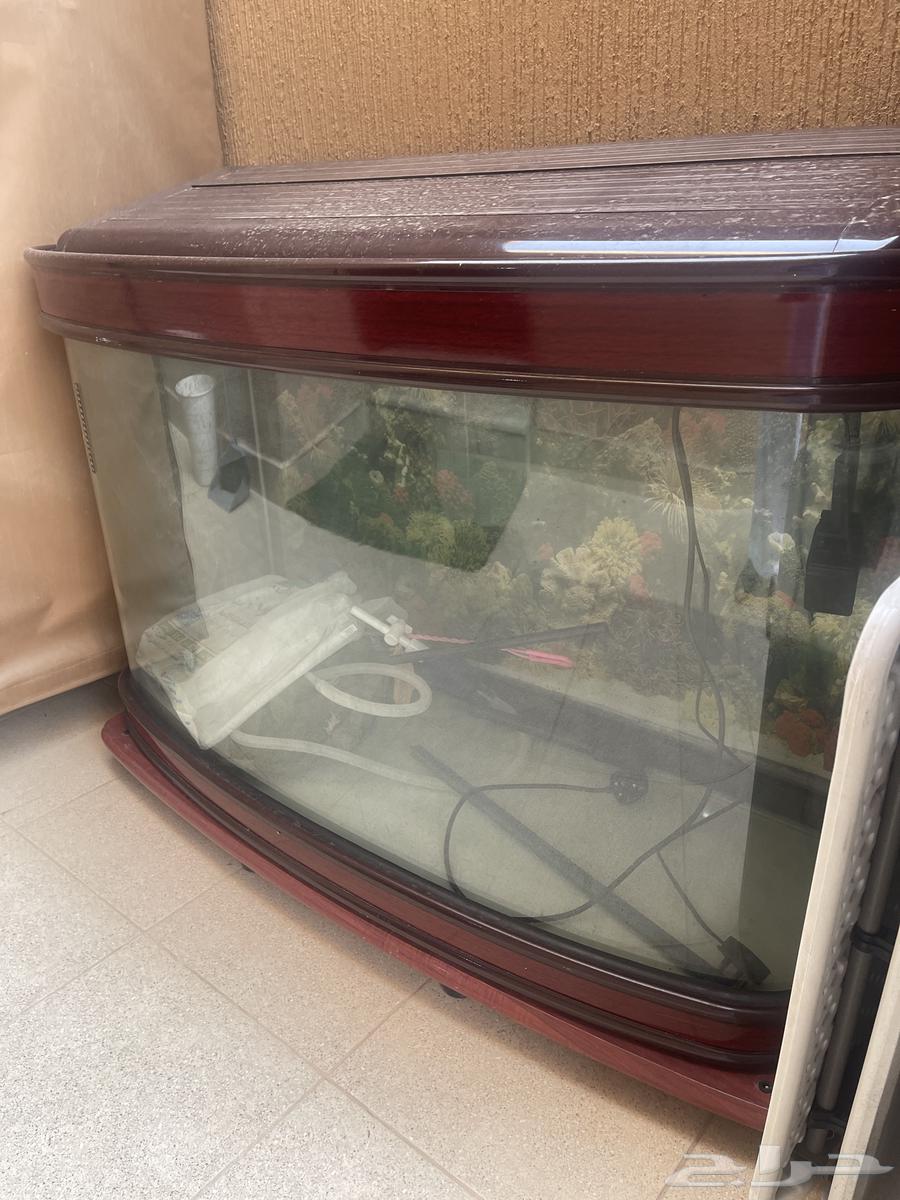 حوض اسماك للبيع64558155845763111