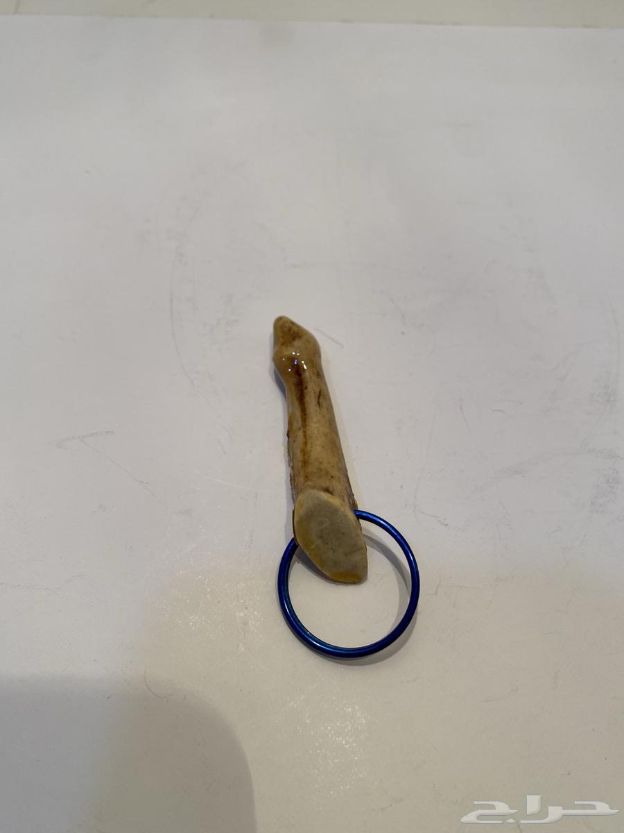 ميداليه قرن غزال امريكي اصليه تراث قديم للبيع64557015879555112