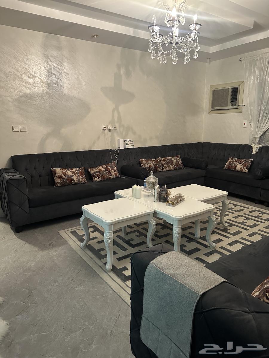 كنب ازرق البيع64558878245889111