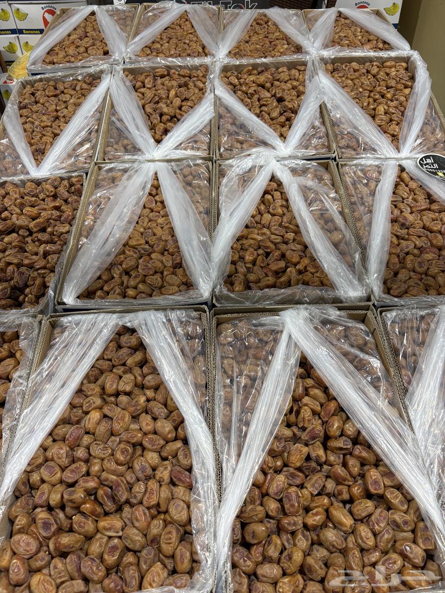 Khalas Nisah Good Quality Dates64556734969731110