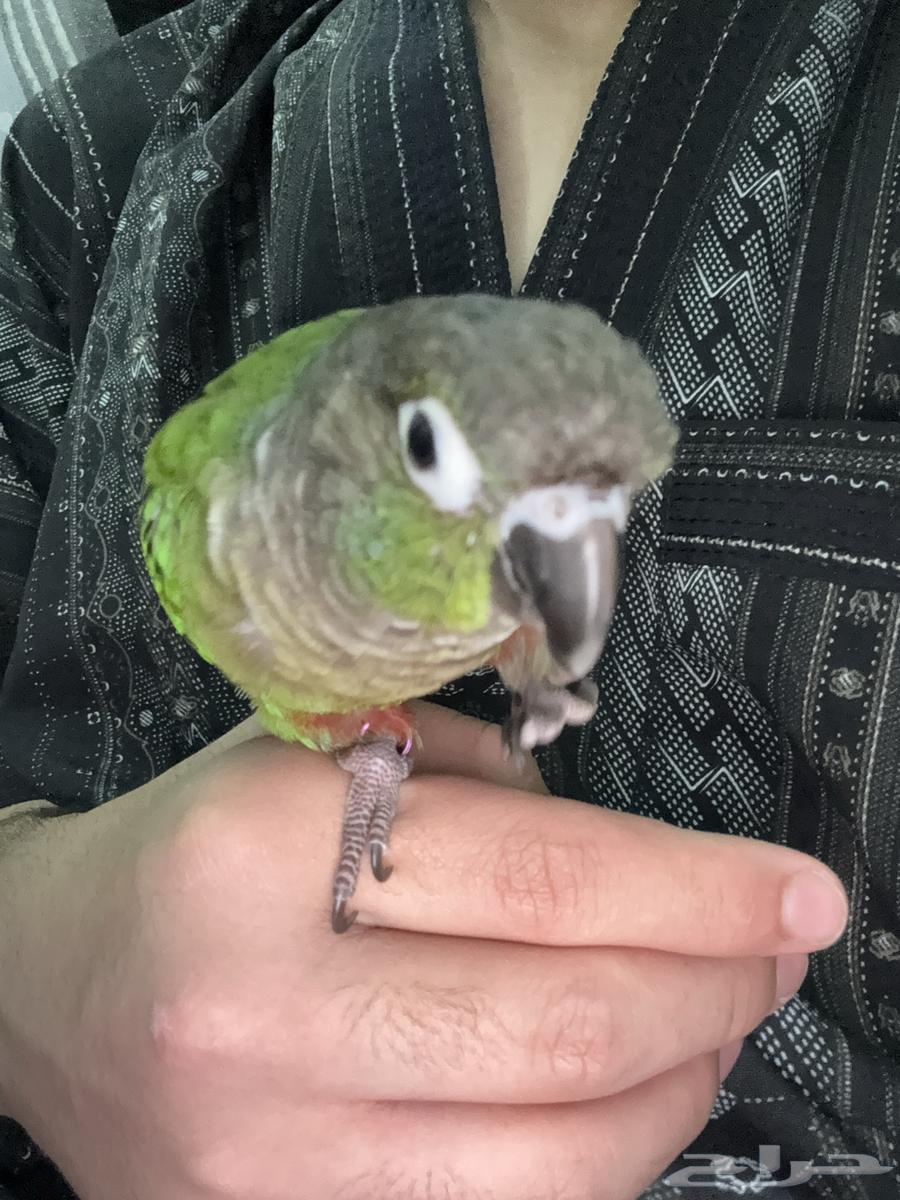 انباع الله يبارك له64561699524098110