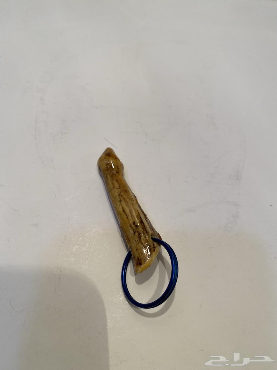 ميداليه قرن غزال امريكي اصليه تراث قديم للبيع64557015879555111