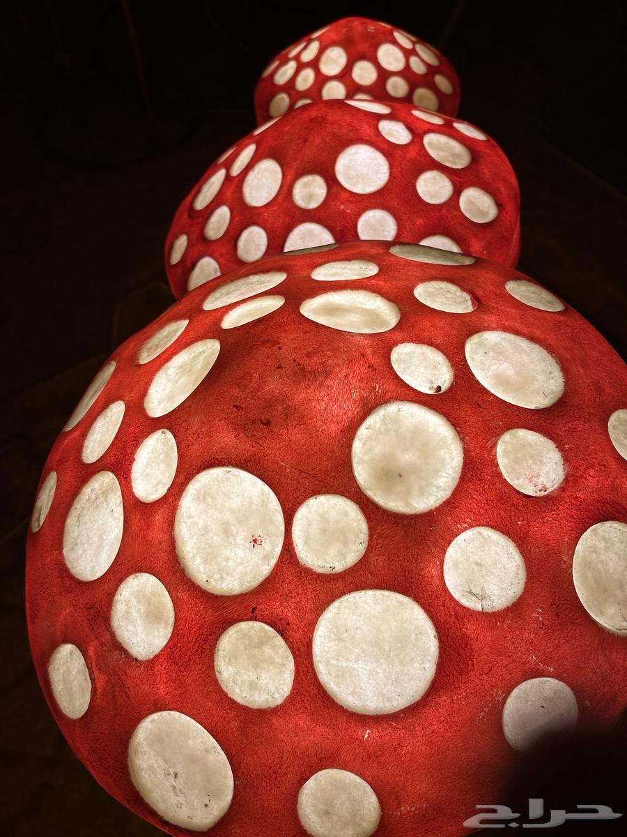 Mushroom-shaped abjorat64556385100673113