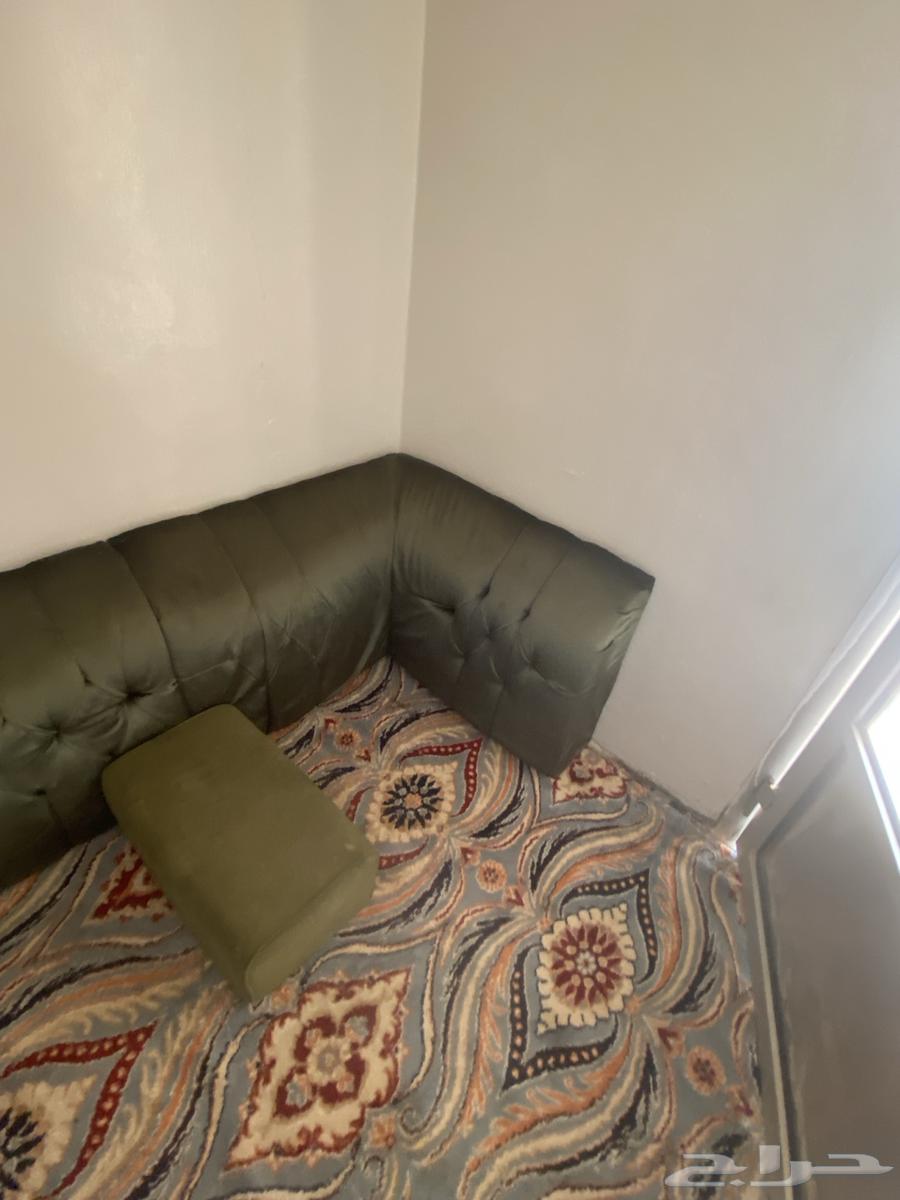 الكنب انباع لحاله باقي الضهريات وا الفرشه64559351711235110