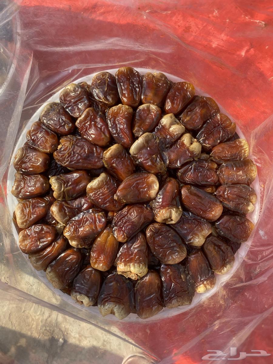 Al-Far3 Branch64553907199105110