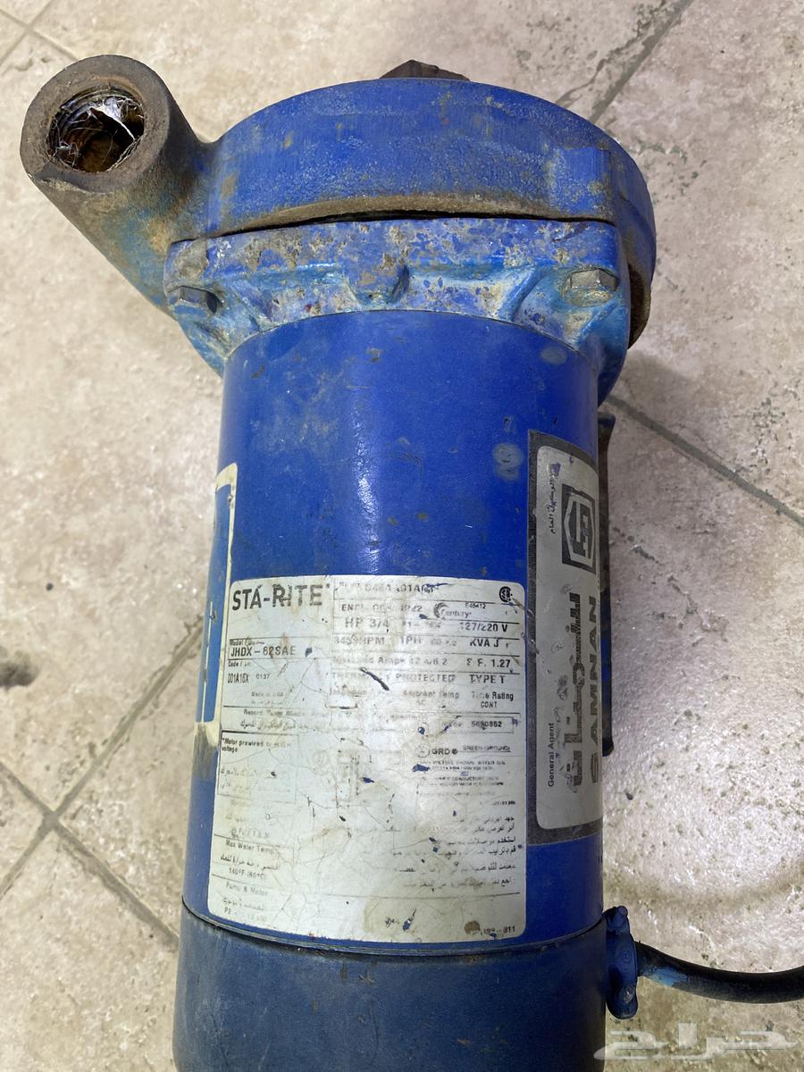 ديلمة سمنان امريكيه 3 4 حصان64557754560898110